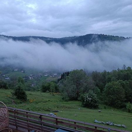 Les Chalets Bambi & Jacuzzi Privatif La Bresse Bagian luar foto
