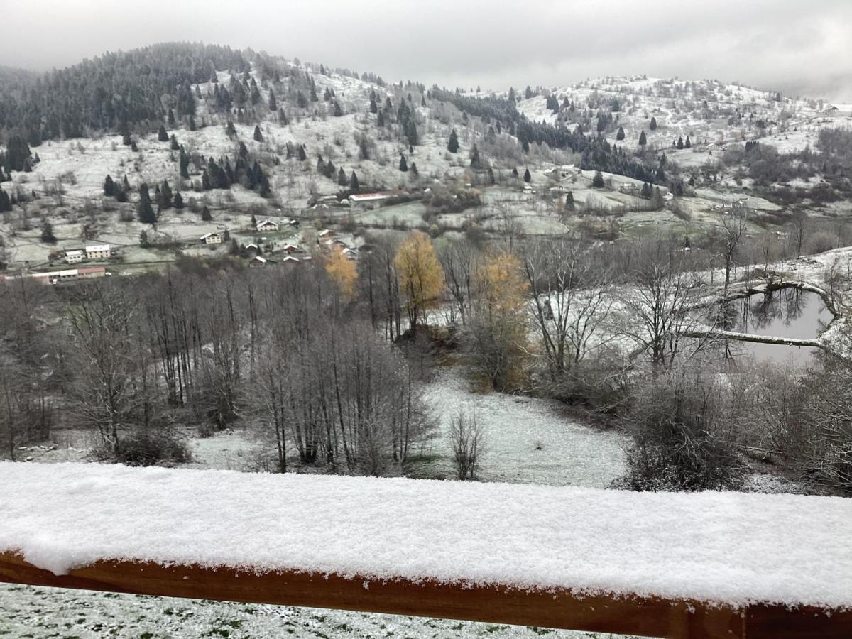 Les Chalets Bambi & Jacuzzi Privatif La Bresse Bagian luar foto
